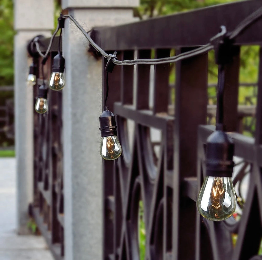 What Are Festoon Lights?