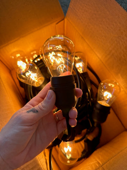 Hanging Festoon Lights