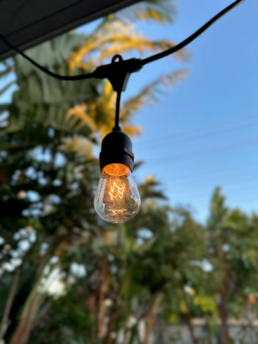 Hanging Festoon Lights