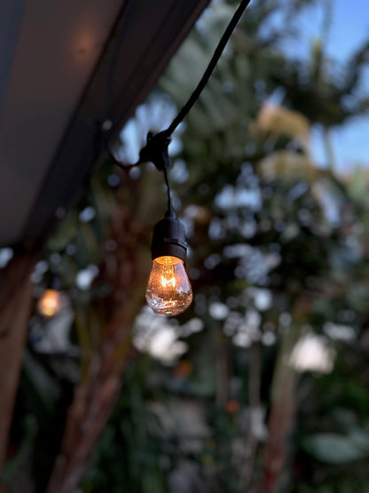 Hanging Festoon Lights