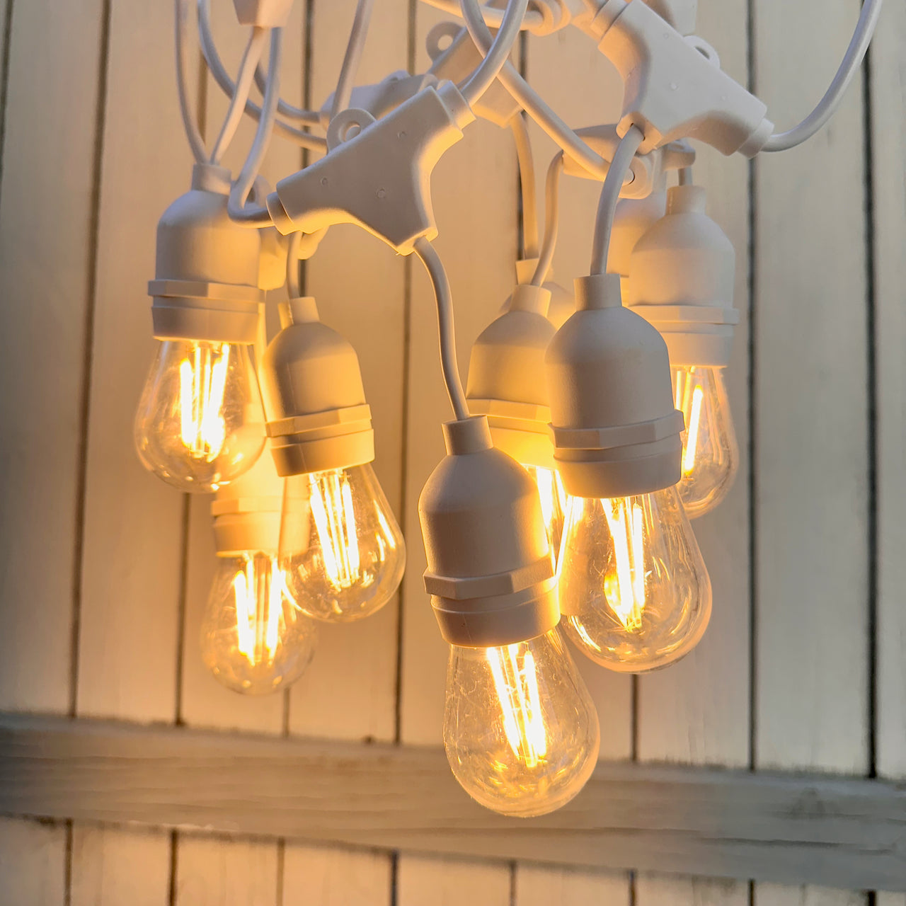 White Festoon Lights